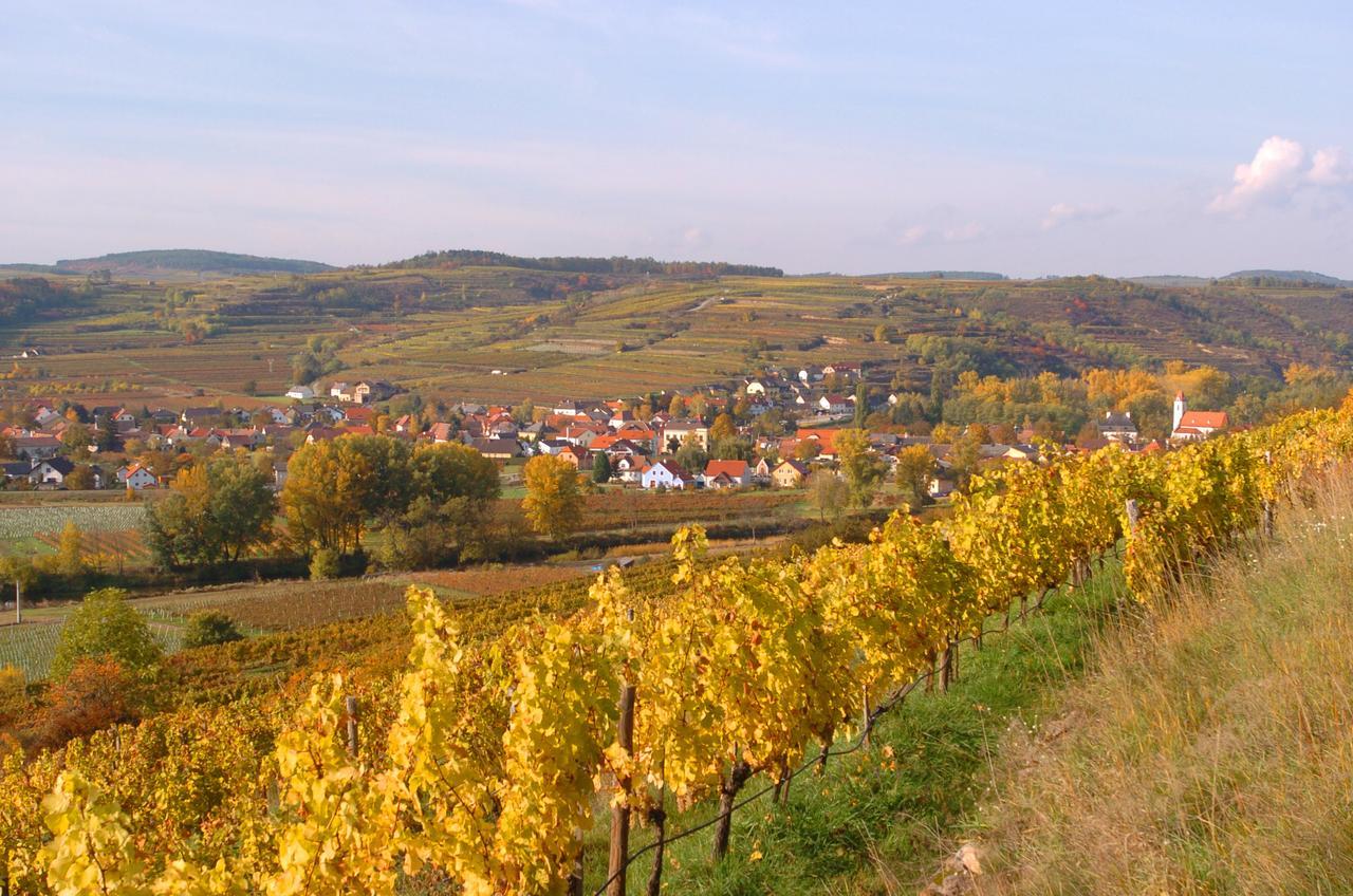Prabatsch-Aichinger Winzergut Langenlois Exterior foto