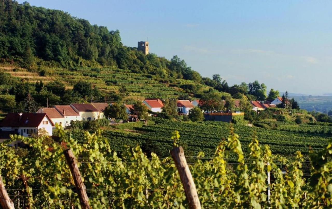 Prabatsch-Aichinger Winzergut Langenlois Exterior foto
